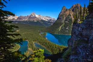 Lake O'Hara from Opabin Prospect-4432